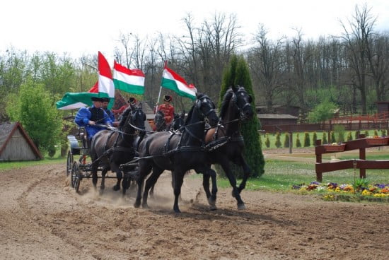 Hest i Ungarn