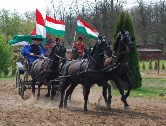 Puszta Budapest