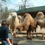 Zoo Budapest