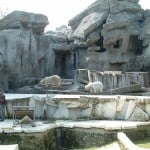 Zoo Budapest