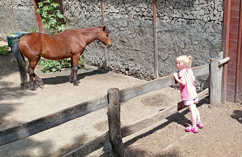 zoo margit