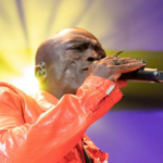 seal concert